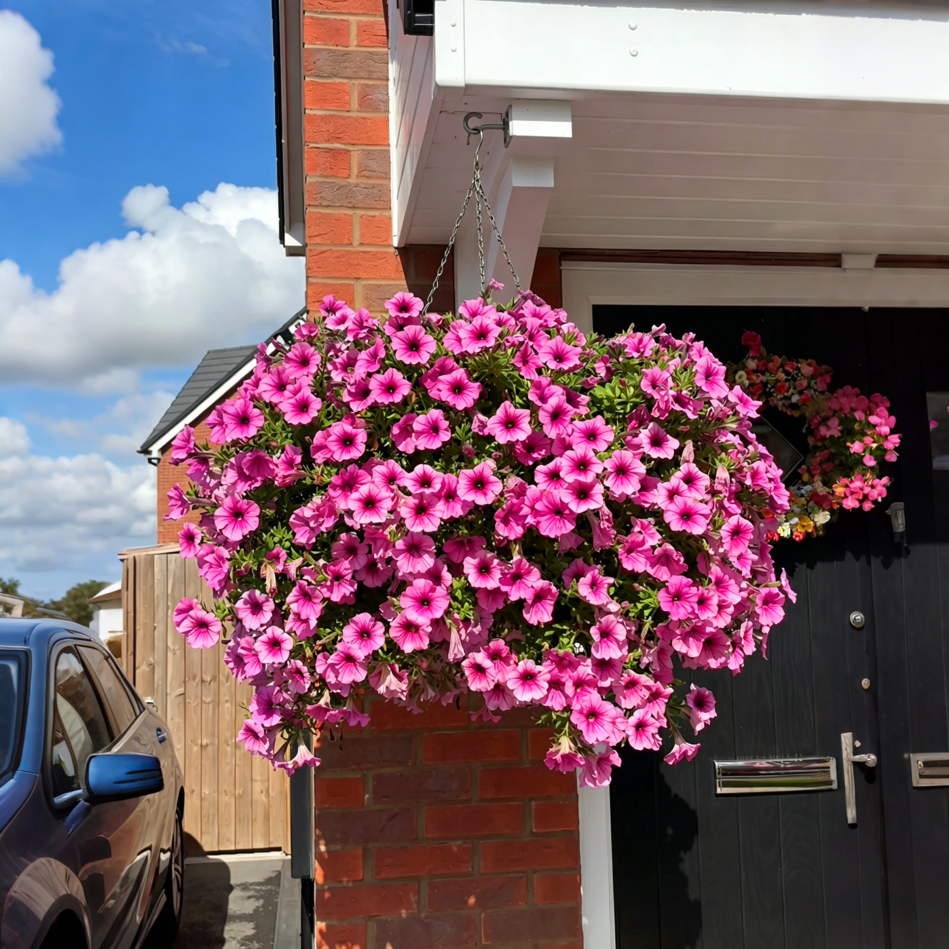 🔥Independence Day Limited 60% OFF🔥UV Resistant Artificial Petunias Flowers