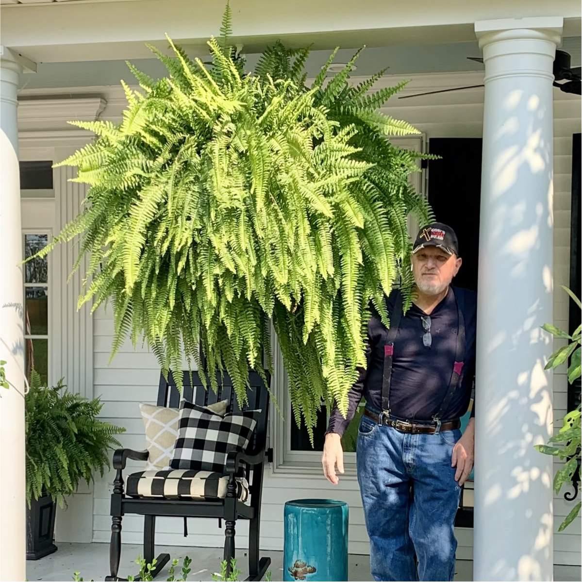 🔥 BUY 1 GET 1 FREE (2 PCS)🌱 48Inch Large UV Artificial Ferns for Outdoors--No watering, No fading