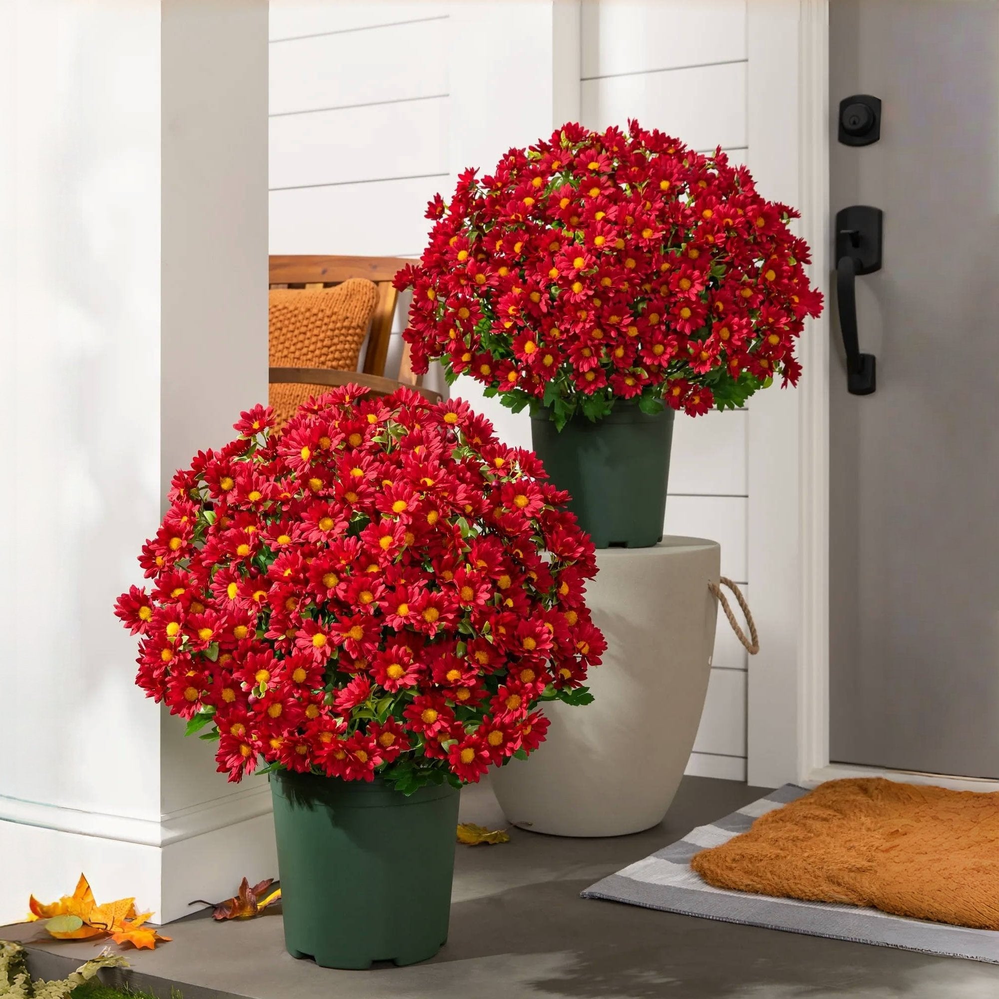 🔥 $9.96 On Sale Only Today 🌱 Artificial Outdoor Sunset Mums Flowers - UV resistant, Waterproof, Windproof