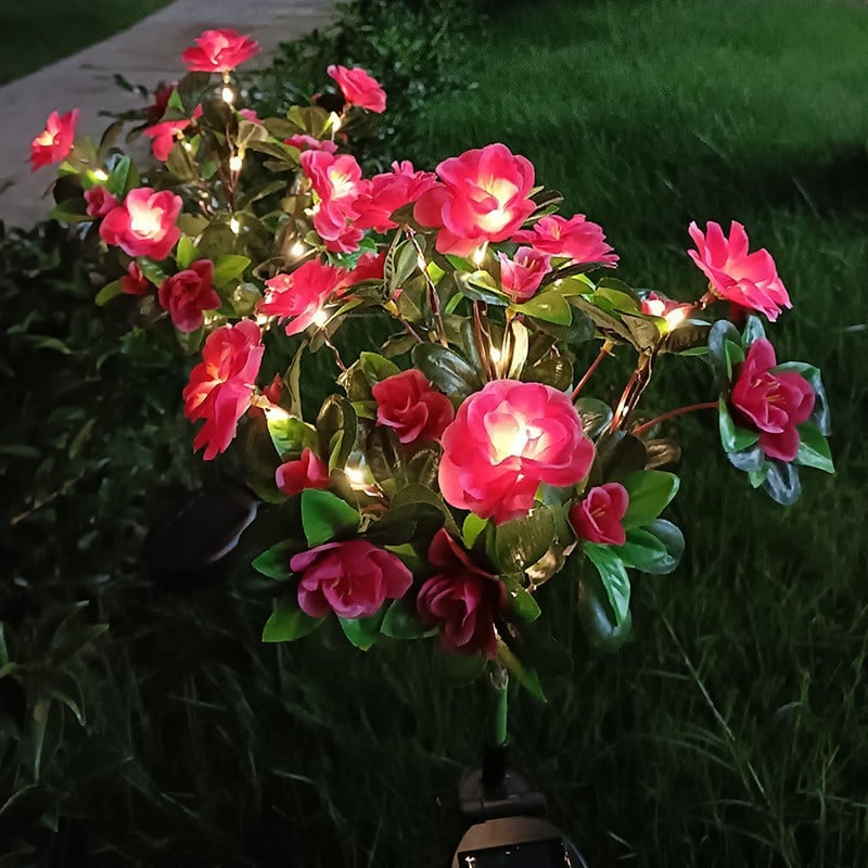 🔥HOT SALE 49% OFF-Solar Azalea Flower Lights