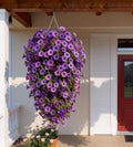 🔥Last Day 60% OFF🔥🌺UV Resistant Hanging Artificial Morning Glory Vine